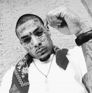 Meet your Posher, Ray